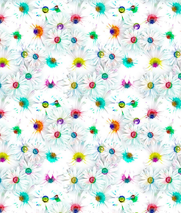 Summery - Image 3