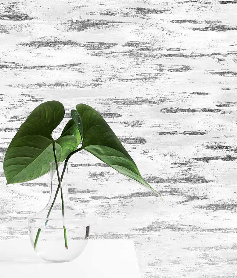 Metallized Birch