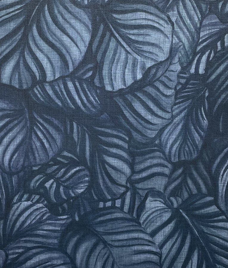 Calathea - Image 5