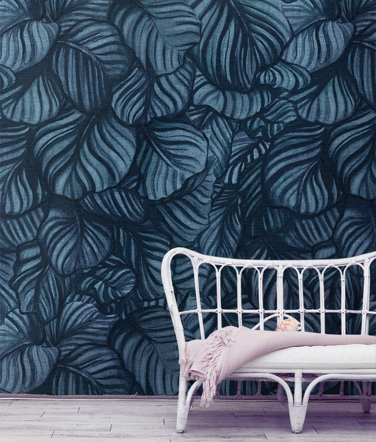 Calathea - Image 4