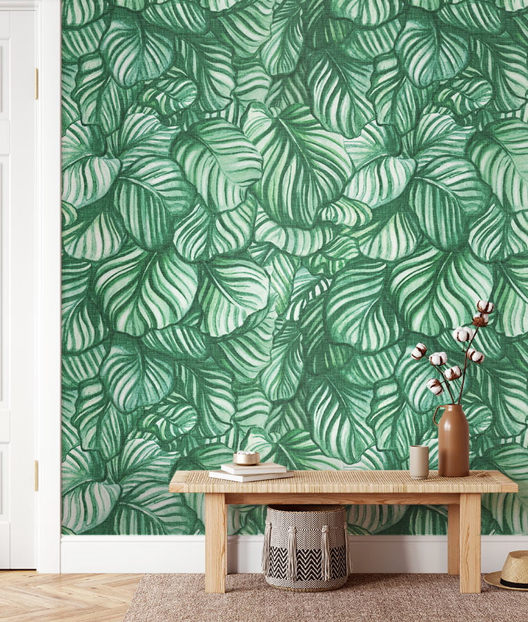 Calathea