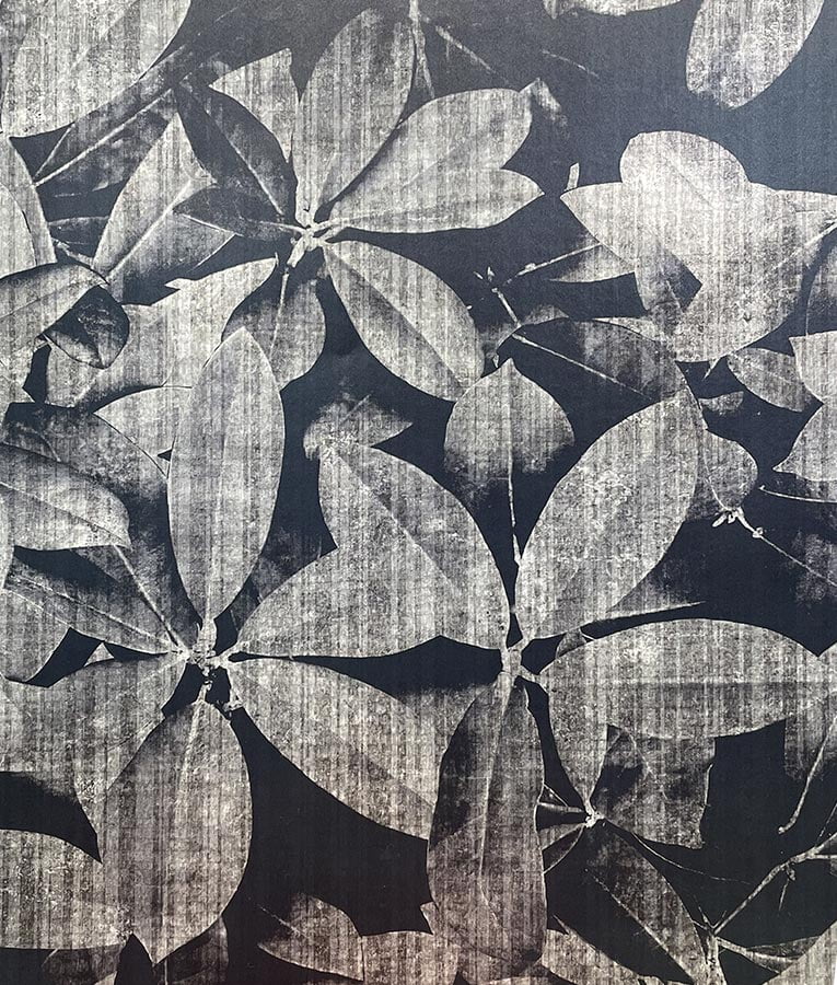Verdure - Image 3