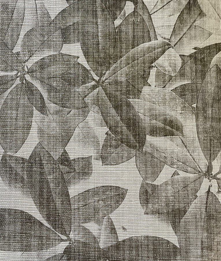 Verdure - Image 5
