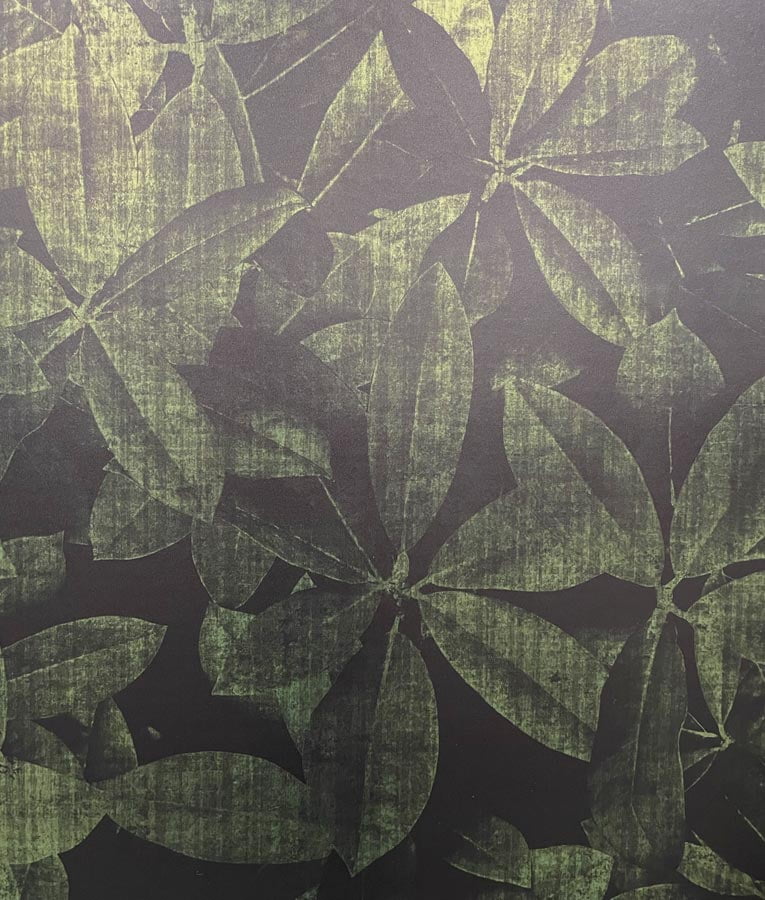 Verdure - Image 7