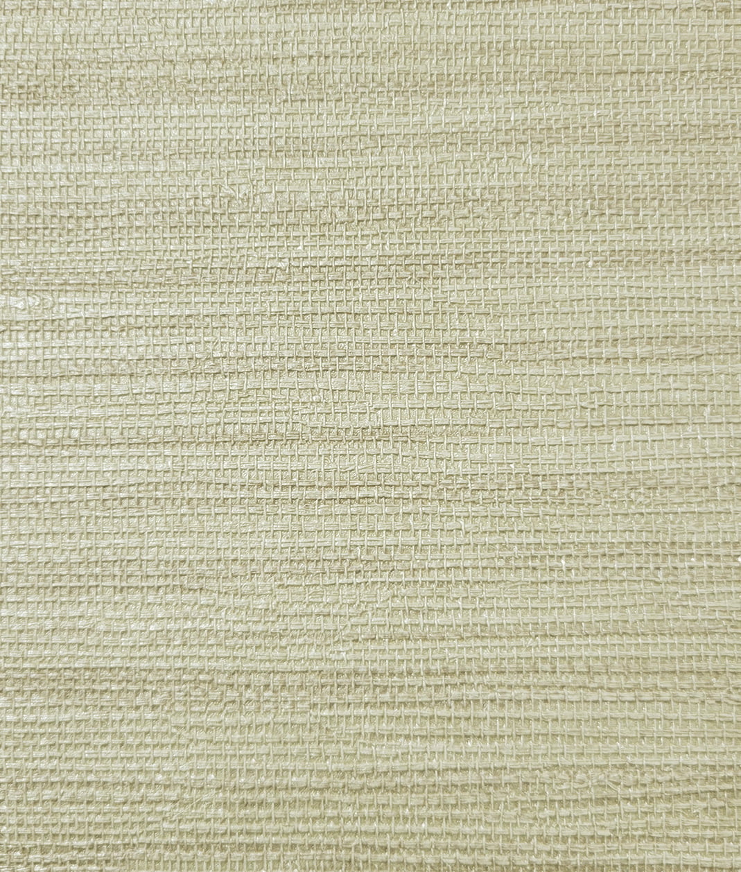 Pampas - Image 3