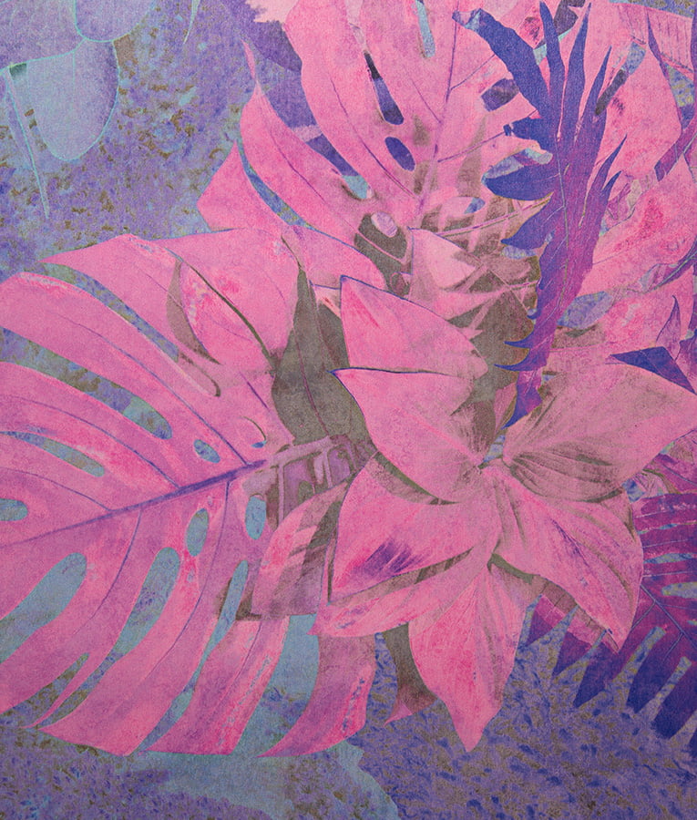 Calyptra - Image 4